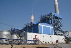 Biomass power generation