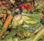 Raw vegetables